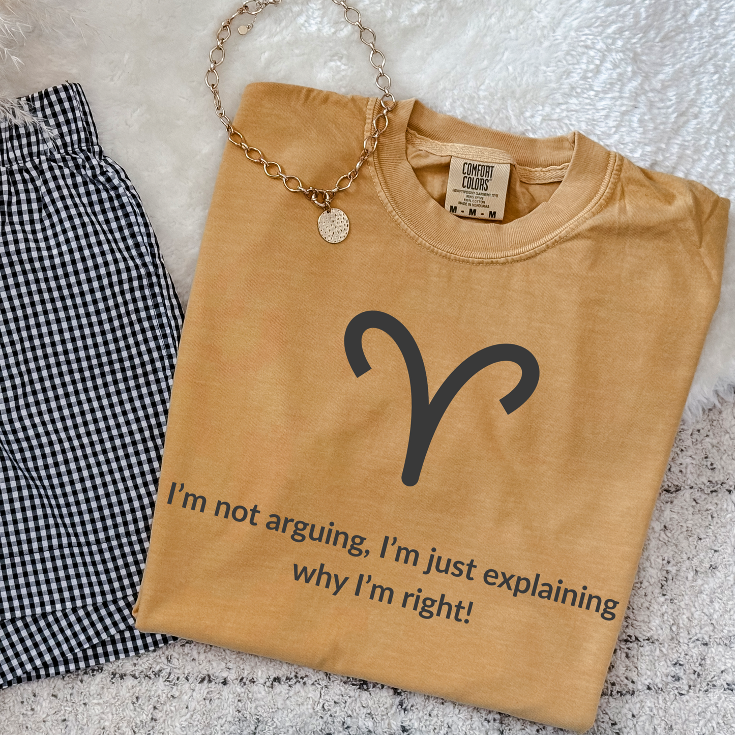 Funny Aries astrology shirt featuring “I’m Not Arguing, I’m Just Explaining Why I’m Right.” Unisex zodiac graphic tee ideal for Aries birthday gifts, fire sign apparel, and horoscope lovers who embrace strong personalities.